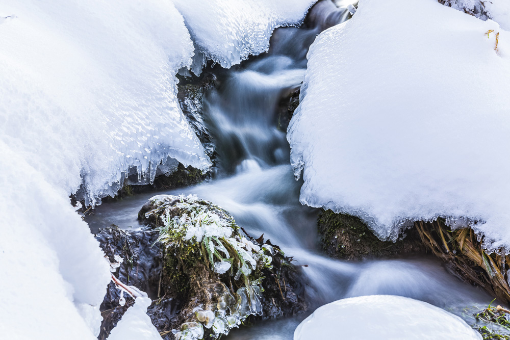 Platz 11 Conny Kleiner